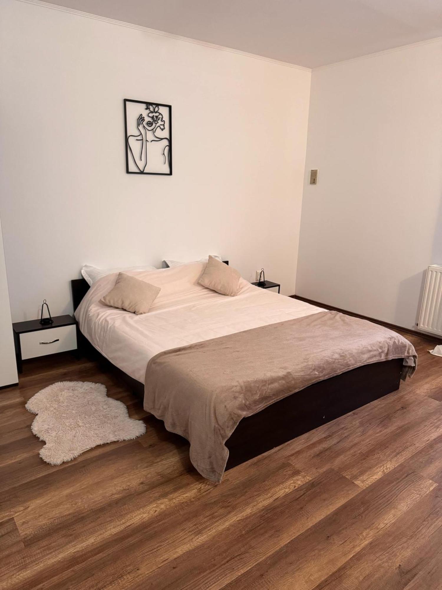 Madalina'S House Apartman Brassó Kültér fotó