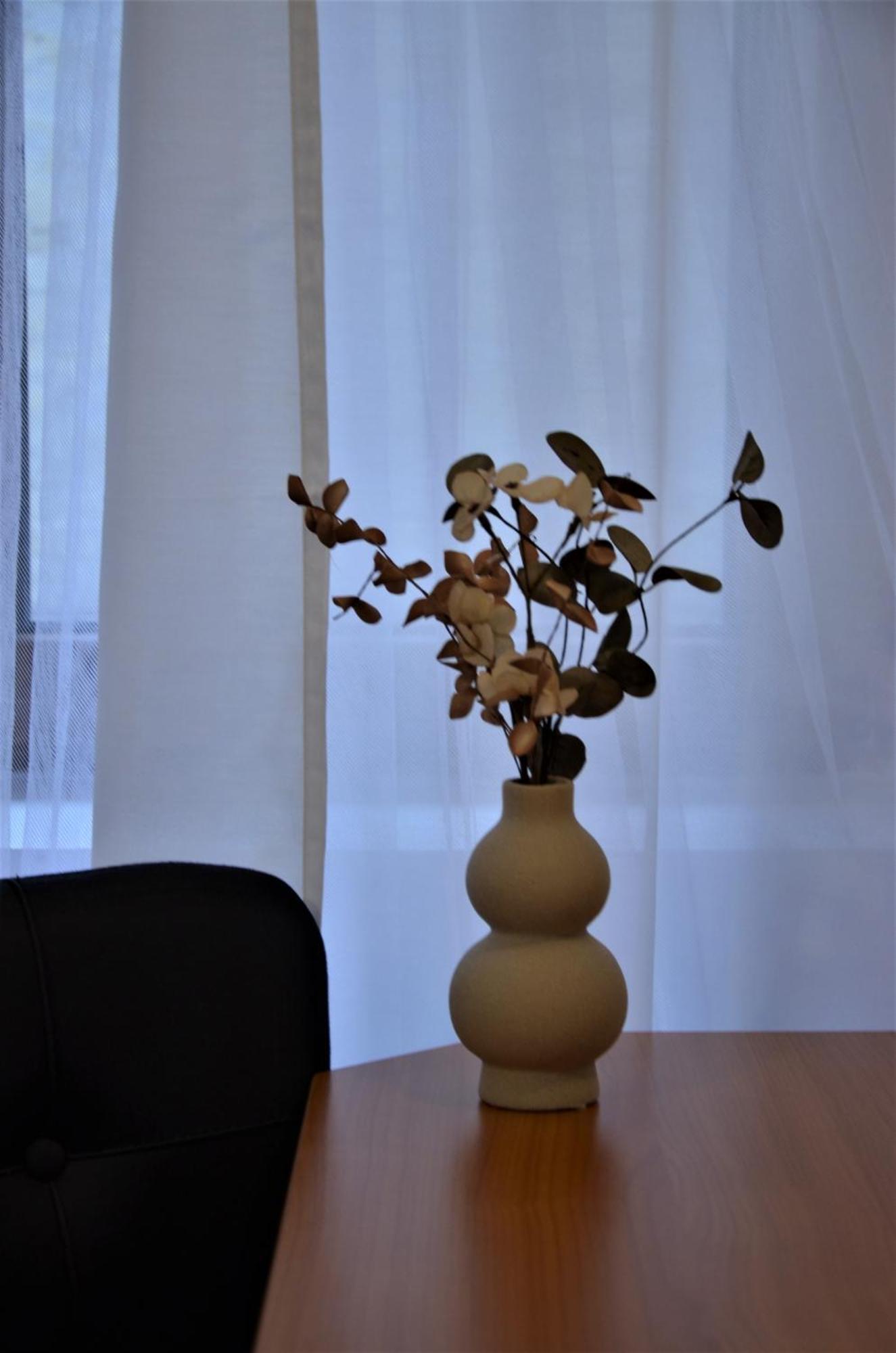 Madalina'S House Apartman Brassó Kültér fotó